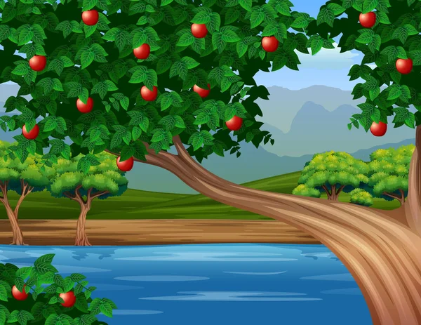 川によるリンゴの木のイラスト — ストックベクタ