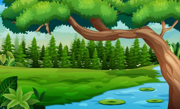 Naturwaldlandschaft Mit Fluss Der Durch Die Wiese Fließt Illustration — Stockvektor
