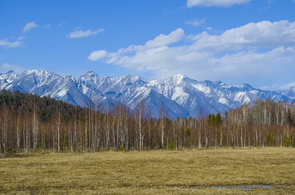 Güzel dağ manzarası