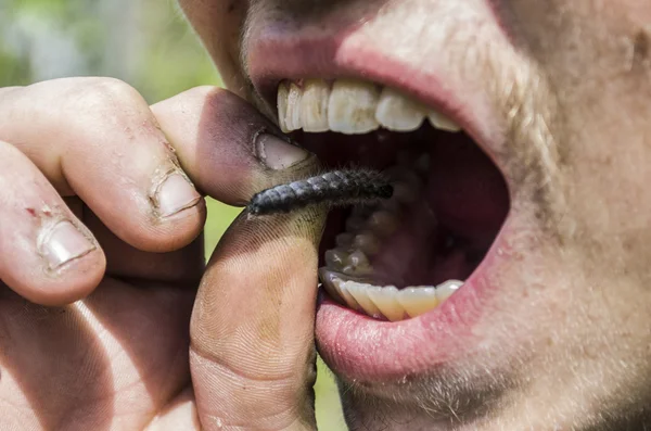 Supervivencia en la naturaleza — Foto de Stock