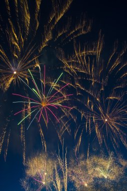 9 Mayıs zafer günü onuruna Festival Selam