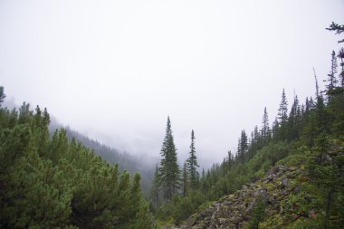 Sabah sis Kuzey Amerika'nın dağlarında