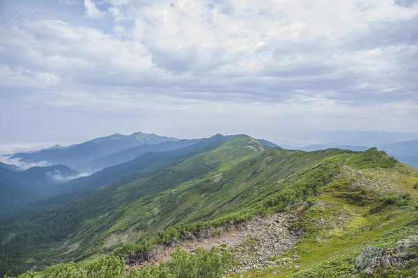 Величественные сибирские горы Хамар-Дабан . — стоковое фото