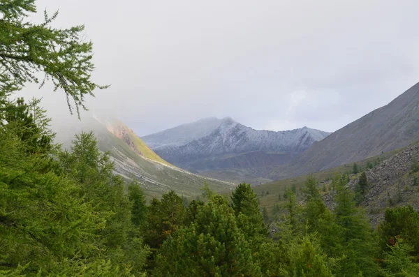 Das sibirische Hochgebirge des östlichen Sajan — Stockfoto