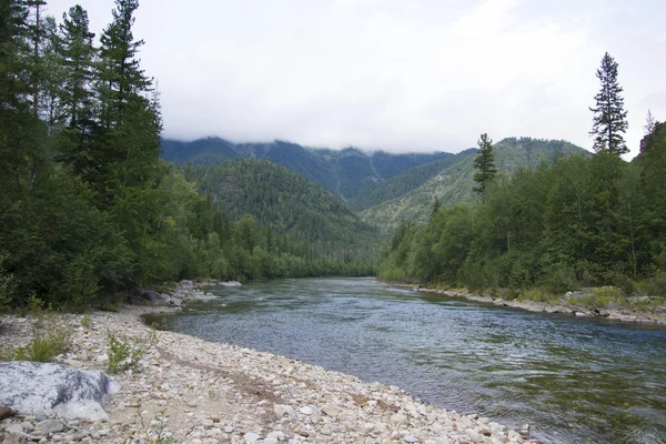 Rude rivière de montagne Shumak . — Photo
