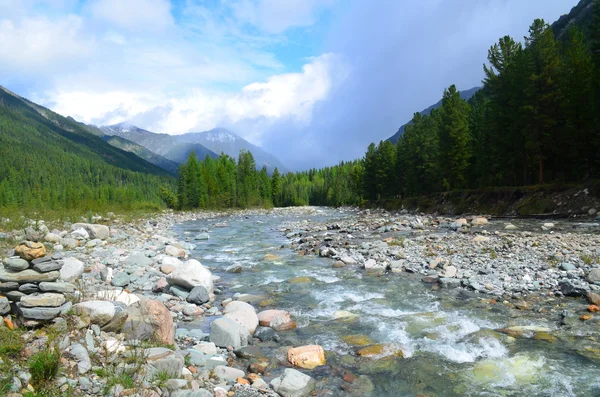 Grov berg floden Shumak. — Stockfoto