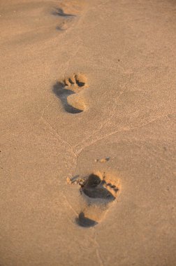 Kumda ayak izleri