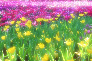 Yumuşak çiçek arka plan ve dokular