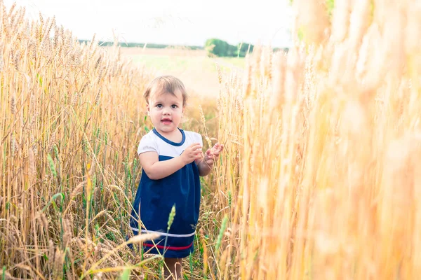 Een klein meisje raakt de oren van de hand van tarwe in een veld in de zomer — Stockfoto