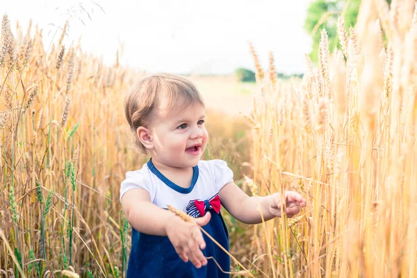 Una bambina tocca le spighe di grano in un campo in estate — Foto Stock