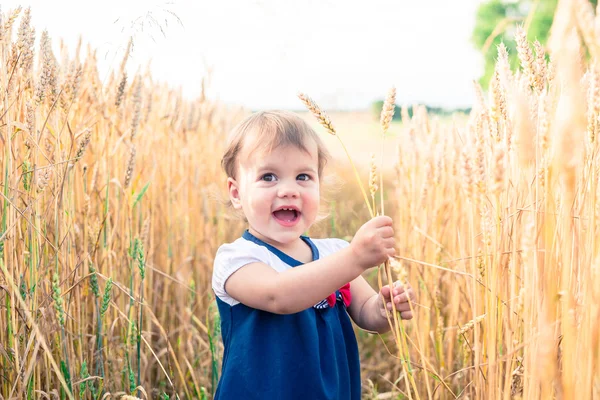 Een klein meisje raakt de oren van de hand van tarwe in een veld in de zomer — Stockfoto