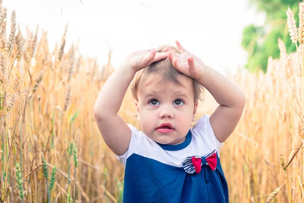 Kleines Mädchen in einem Kleid, das im Weizenfeld steht und den Kopf berührt — Stockfoto