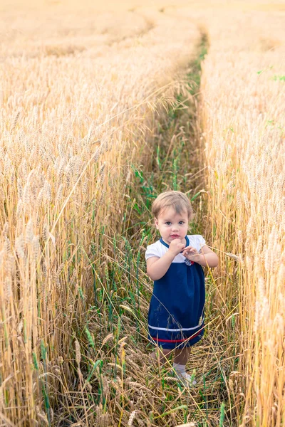 Uma menina toca as orelhas da mão de trigo em um campo no verão — Fotografia de Stock