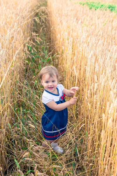 Uma menina toca as orelhas da mão de trigo em um campo no verão — Fotografia de Stock