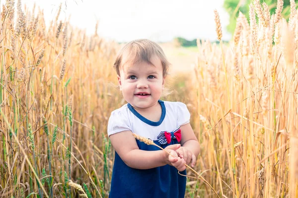 Una niña toca las espigas de trigo en un campo en verano —  Fotos de Stock