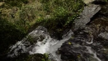 Fast Mountain Creek .