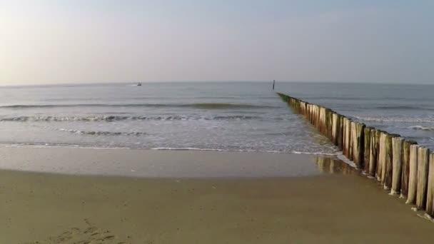 Côte de la mer du Nord au début du printemps . — Video