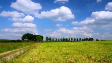 Belçika kırsalında yaz çayır.