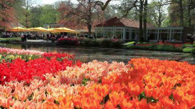 Lale parkta Keukenhof.