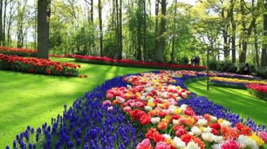 Parkta Keukenhof çiçek.