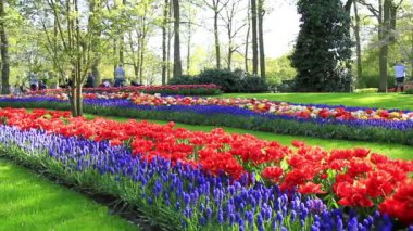 Lisse, Hollanda - 05 Mayıs 2016: Park Keukenhof.