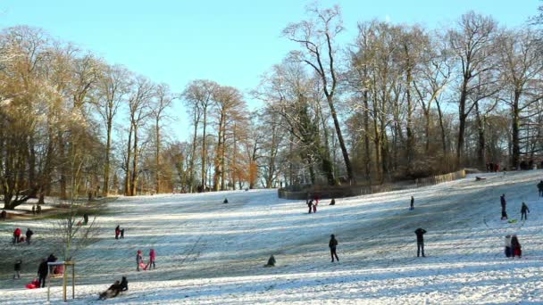 Niños en el parque de invierno. — Vídeos de Stock