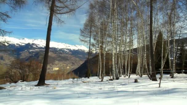 Winterlandschap in de Alpen — Stockvideo