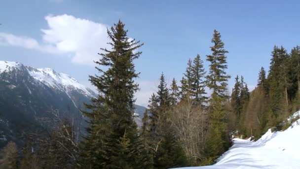 Paisaje invernal en los Alpes — Vídeo de stock