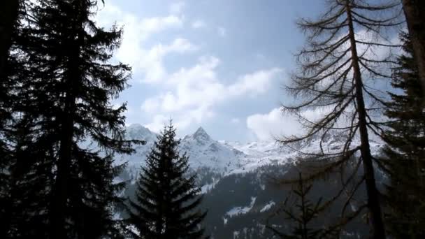 Paisaje invernal en los Alpes — Vídeo de stock