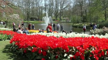 Turistler parkta Keukenhof, Avrupa Bahçe.