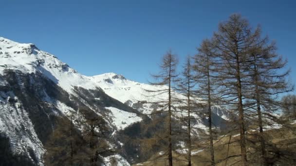 Mening van de berg in de Alpen. — Stockvideo