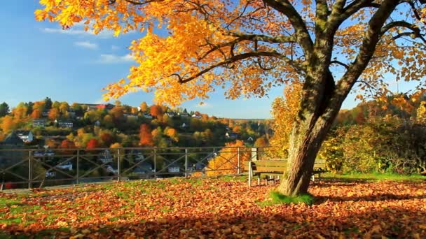 Pohled na malého německého města Monschau. Podzim. — Stock video