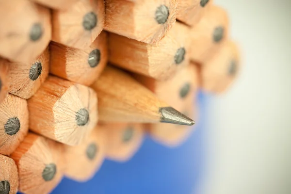 Kupie ołówki drewniane — Zdjęcie stockowe