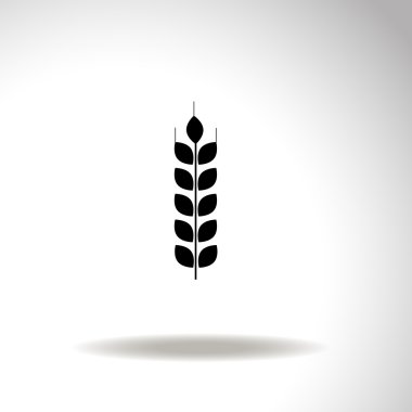 buğday vektör simgesi