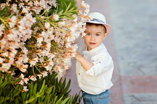 Pequeño niño en un sombrero y pantalones cortos en el verano en un fondo —  Fotos de Stock