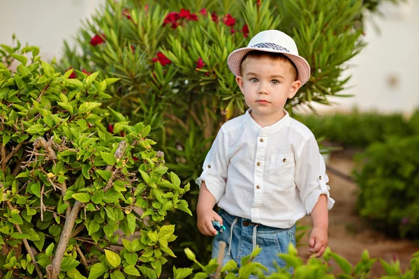 Pequeño niño en un sombrero y pantalones cortos en el verano en un fondo —  Fotos de Stock