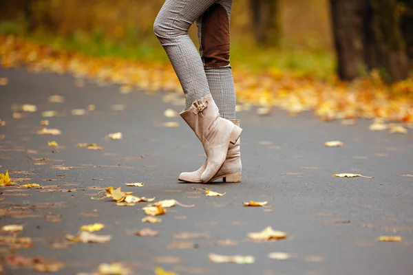 Beige women's boots in the autumn road with yellow leaves in aut — Stock Photo, Image