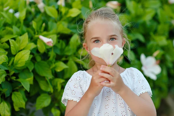 Niña 5 años rubia oliendo una flor en el verano — Foto de Stock