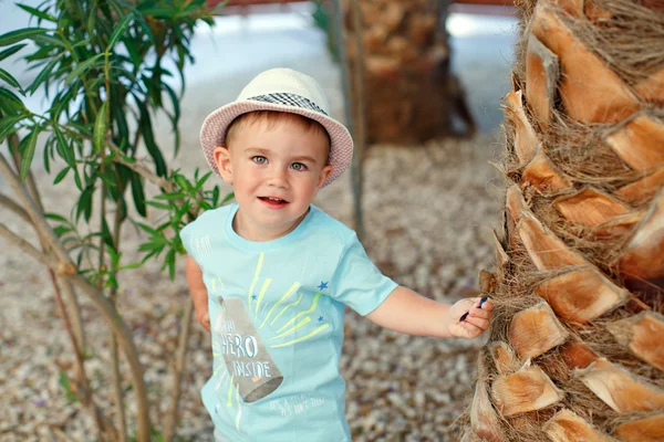 Encantador niño con un sombrero y una camisa azul de pie cerca de la palma tr —  Fotos de Stock