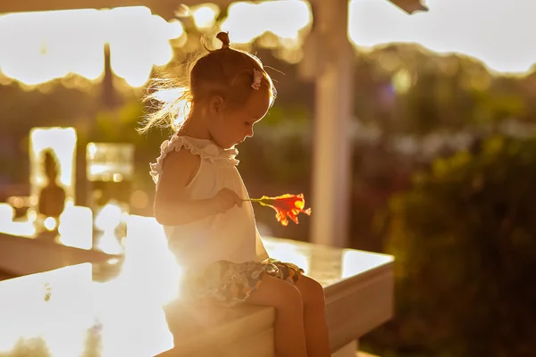 Маленька мила дівчинка з квіткою в руці сидить на столі — стокове фото
