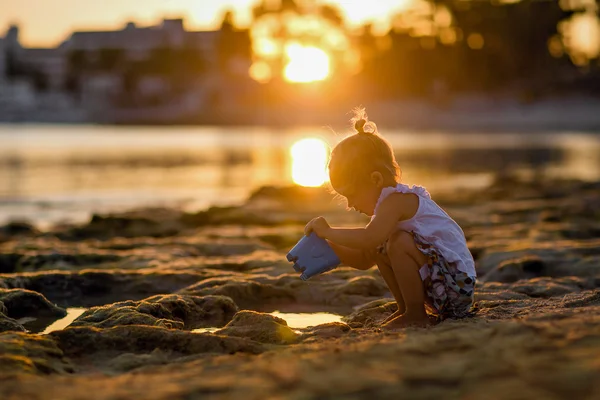 Mycket söt liten flicka på havet, hålla en hink — Stockfoto