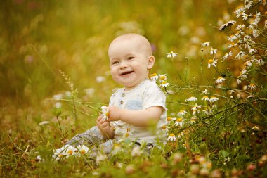 Küçük sevimli yürümeye başlayan çocuk ışık t-shirt bir alanda papatya ile yaz ve gülümser oturur
