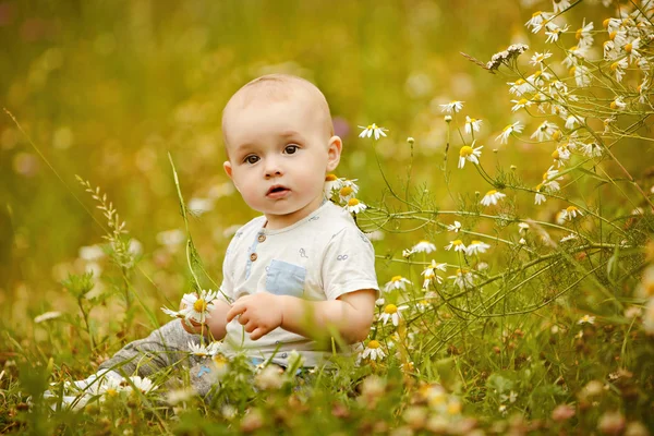 Pequena encantadora criança menino luz t-shirt senta-se em um campo com margaridas no verão e olha para cima — Fotografia de Stock