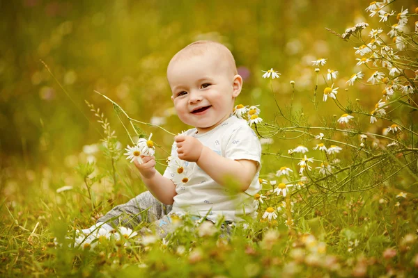 Pequena encantadora criança menino luz t-shirt senta-se em um campo com margaridas no verão e sorri — Fotografia de Stock