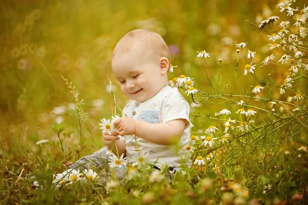 Pequena encantadora criança menino luz t-shirt senta-se em um campo com margaridas no verão e sorri — Fotografia de Stock