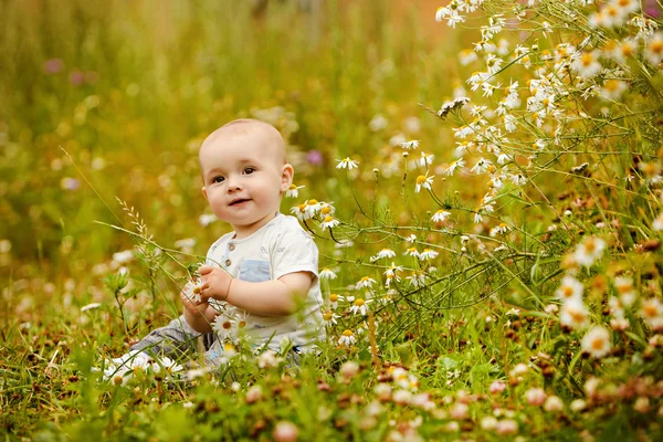 Tricou mic și fermecător pentru băieți mici stă pe un câmp cu margarete vara și zâmbește — Fotografie, imagine de stoc