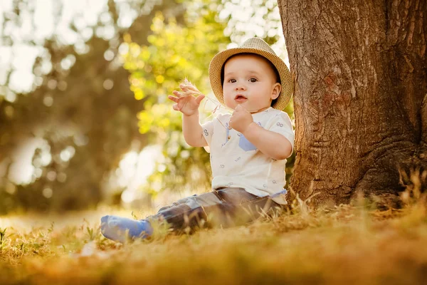 Kleiner großäugiger kleiner Junge mit Hut sitzt im Sommer bei Sonnenuntergang am Baum und hält einen Strohhalm in der Hand — Stockfoto