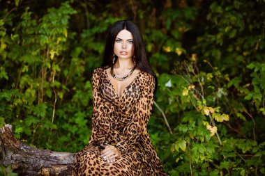 Portrait of a sexy sensual beautiful brunette girl with long hair in leopard print dress, sitting on a tree in a forest