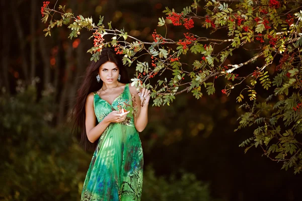 Portrait of a sexy sensual very beautiful brunette girl with long hair in a green dress in nature about Rowan — стокове фото