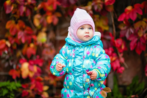 Schattig klein meisje in het blauwe jasje op de achtergrond van rode vin — Stockfoto